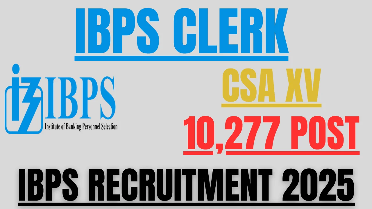 IBPS Clerk Recruitment 2025